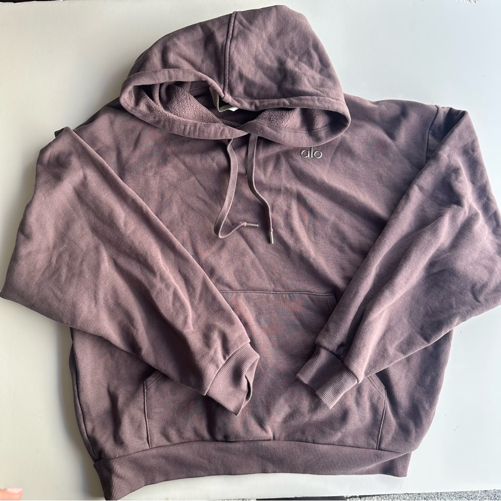 alo raisinette accolade Hoodie - Picture 3 of 3